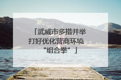 武威市多措并举打好优化营商环境“组合拳”