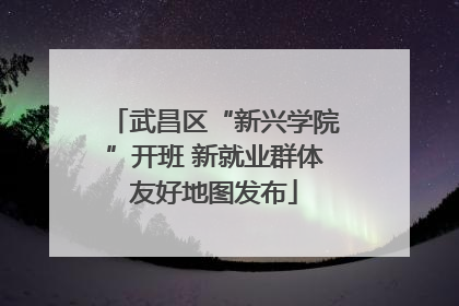 武昌区“新兴学院”开班 新就业群体友好地图发布
