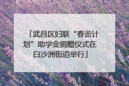 武昌区妇联“春蕾计划”助学金捐赠仪式在白沙洲街道举行