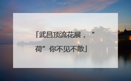 武昌顶流花展，“荷”你不见不散