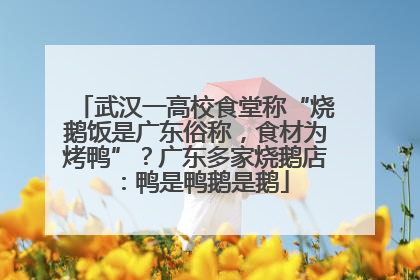 武汉一高校食堂称“烧鹅饭是广东俗称，食材为烤鸭”？广东多家烧鹅店：鸭是鸭鹅是鹅