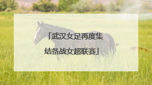 武汉女足再度集结备战女超联赛