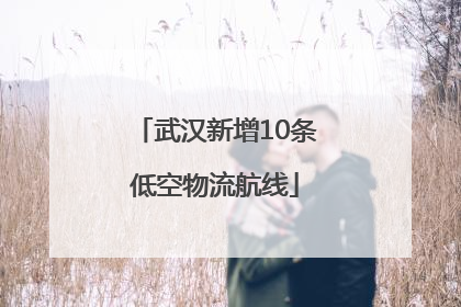 武汉新增10条低空物流航线