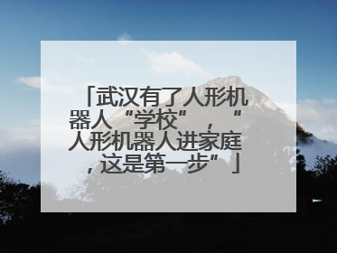 武汉有了人形机器人“学校”，“人形机器人进家庭，这是第一步”