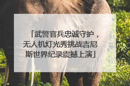 武警官兵忠诚守护,无人机灯光秀挑战吉尼斯世界纪录震撼上演