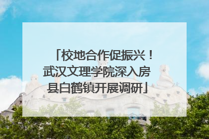 校地合作促振兴！武汉文理学院深入房县白鹤镇开展调研