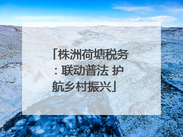 株洲荷塘税务：联动普法 护航乡村振兴