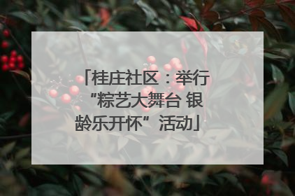 桂庄社区：举行“粽艺大舞台 银龄乐开怀”活动
