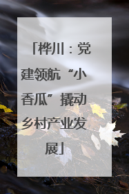桦川：党建领航“小香瓜”撬动乡村产业发展