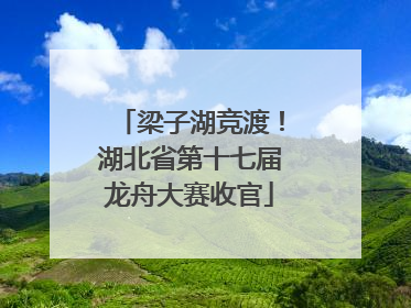 梁子湖竞渡！湖北省第十七届龙舟大赛收官