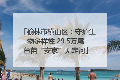 榆林市横山区：守护生物多样性 29.5万尾鱼苗“安家”无定河