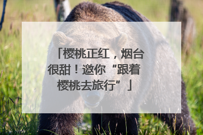 樱桃正红，烟台很甜！邀你“跟着樱桃去旅行”