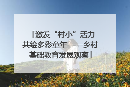 激发“村小”活力 共绘多彩童年——乡村基础教育发展观察