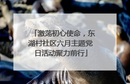 激荡初心使命，东湖村社区六月主题党日活动聚力前行