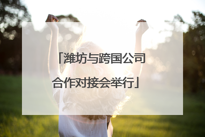 潍坊与跨国公司合作对接会举行