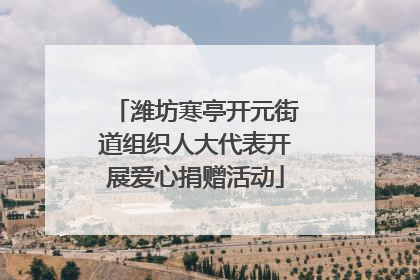 潍坊寒亭开元街道组织人大代表开展爱心捐赠活动