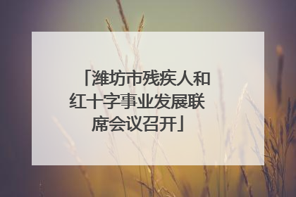 潍坊市残疾人和红十字事业发展联席会议召开