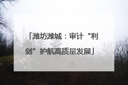 潍坊潍城：审计“利剑”护航高质量发展