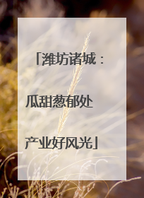 潍坊诸城：瓜甜葱郁处 产业好风光