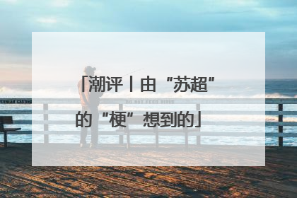 潮评丨由“苏超”的“梗”想到的