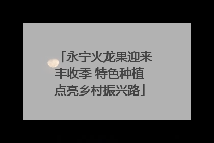 永宁火龙果迎来丰收季 特色种植点亮乡村振兴路
