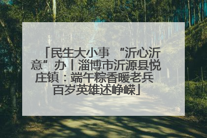 民生大小事 “沂心沂意”办丨淄博市沂源县悦庄镇：端午粽香暖老兵 百岁英雄述峥嵘