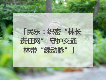 民乐：织密“林长责任网” 守护交通林带“绿动脉”