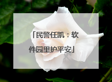 民警任凯：软件园里护平安