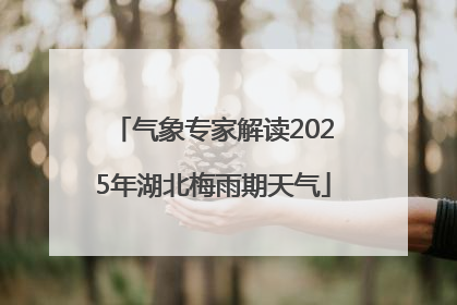 气象专家解读2025年湖北梅雨期天气