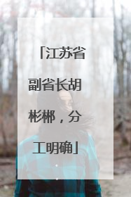 江苏省副省长胡彬郴，分工明确