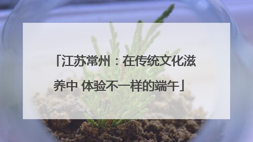 江苏常州：在传统文化滋养中 体验不一样的端午