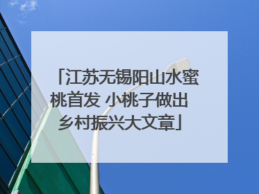 江苏无锡阳山水蜜桃首发 小桃子做出乡村振兴大文章