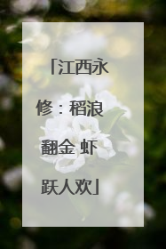 江西永修：稻浪翻金 虾跃人欢