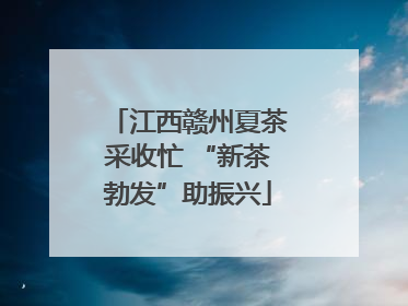 江西赣州夏茶采收忙 “新茶勃发”助振兴