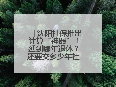 沈阳社保推出计算“神器”！延到哪年退休？还要交多少年社保？速查→