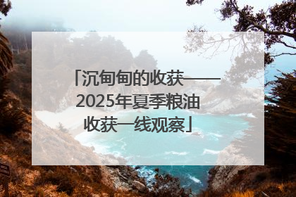 沉甸甸的收获——2025年夏季粮油收获一线观察
