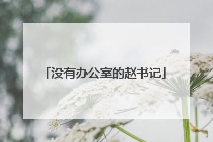 没有办公室的赵书记