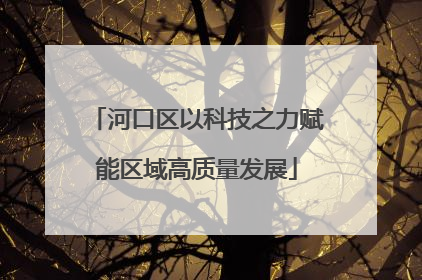 河口区以科技之力赋能区域高质量发展