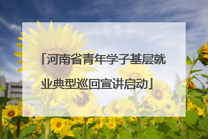河南省青年学子基层就业典型巡回宣讲启动