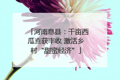 河南息县：千亩西瓜喜获丰收 激活乡村“甜蜜经济”