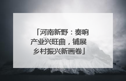 河南新野：奏响产业兴旺曲，铺展乡村振兴新画卷