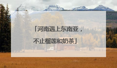 河南遇上东南亚，不止榴莲和奶茶