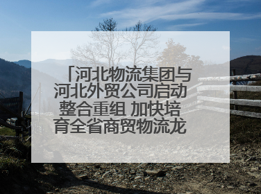 河北物流集团与河北外贸公司启动整合重组 加快培育全省商贸物流龙头企业