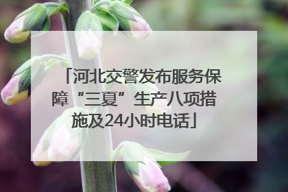 河北交警发布服务保障“三夏”生产八项措施及24小时电话