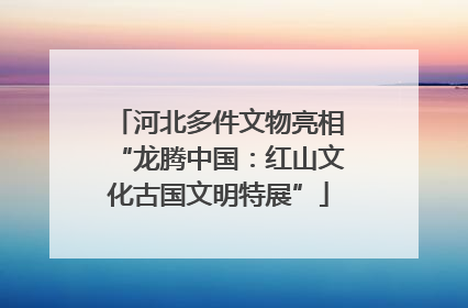 河北多件文物亮相“龙腾中国：红山文化古国文明特展”