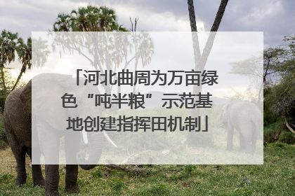 河北曲周为万亩绿色“吨半粮”示范基地创建指挥田机制