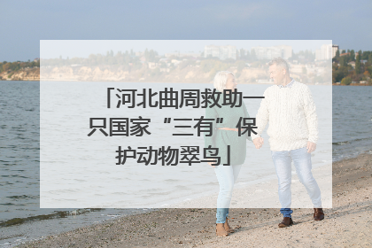 河北曲周救助一只国家“三有”保护动物翠鸟