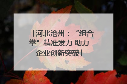 河北沧州：“组合拳”精准发力 助力企业创新突破