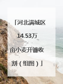 河北满城区14.53万亩小麦开镰收割（组图）