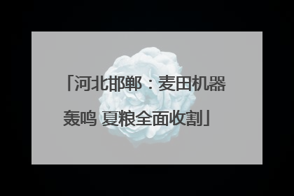 河北邯郸：麦田机器轰鸣 夏粮全面收割